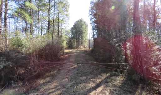 Photo of UNDER CONTRACT!  49.82 Acres of Hunting Land with Duck Impoundments For Sale in Columbus County NC!