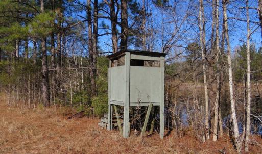 Photo of UNDER CONTRACT!  49.82 Acres of Hunting Land with Duck Impoundments For Sale in Columbus County NC!