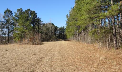 Photo of UNDER CONTRACT!  49.82 Acres of Hunting Land with Duck Impoundments For Sale in Columbus County NC!