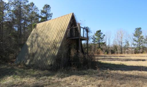 Photo of UNDER CONTRACT!  49.82 Acres of Hunting Land with Duck Impoundments For Sale in Columbus County NC!