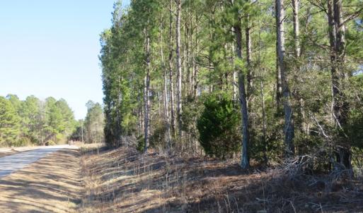 Photo of UNDER CONTRACT!  49.82 Acres of Hunting Land with Duck Impoundments For Sale in Columbus County NC!