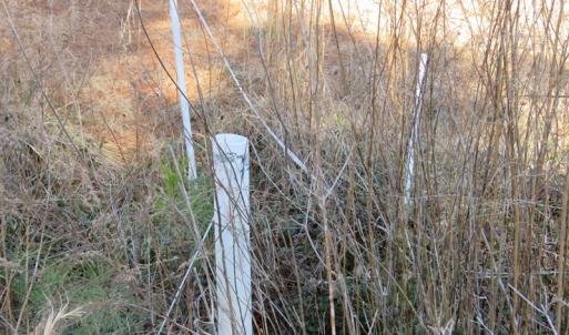 Photo of UNDER CONTRACT!  49.82 Acres of Hunting Land with Duck Impoundments For Sale in Columbus County NC!