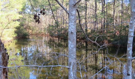 Photo of UNDER CONTRACT!  49.82 Acres of Hunting Land with Duck Impoundments For Sale in Columbus County NC!