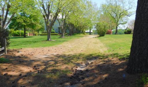 Photo of UNDER CONTRACT!  84.45 Acres of Residential and Pasture Land For Sale in Edgecombe County NC!