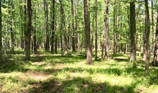 Photo of UNDER CONTRACT!  84.45 Acres of Residential and Pasture Land For Sale in Edgecombe County NC!