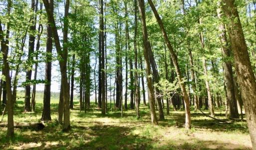 Photo of UNDER CONTRACT!  84.45 Acres of Residential and Pasture Land For Sale in Edgecombe County NC!