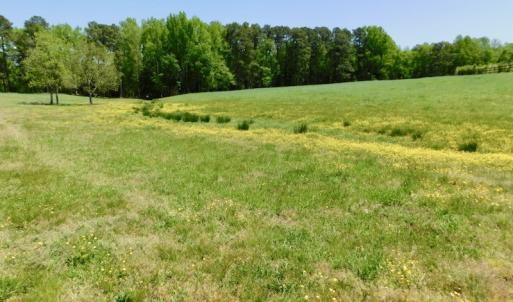 Photo of UNDER CONTRACT!  84.45 Acres of Residential and Pasture Land For Sale in Edgecombe County NC!