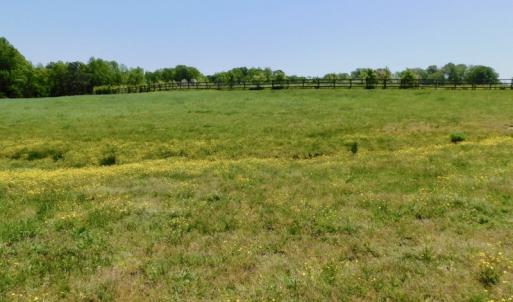 Photo of UNDER CONTRACT!  84.45 Acres of Residential and Pasture Land For Sale in Edgecombe County NC!