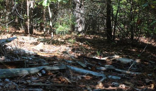 Photo of UNDER CONTRACT!  67 Acres of Recreational and Farm Land For Sale in Sussex County VA!