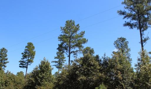 Photo of UNDER CONTRACT!  67 Acres of Recreational and Farm Land For Sale in Sussex County VA!
