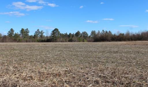Photo of UNDER CONTRACT!  67 Acres of Recreational and Farm Land For Sale in Sussex County VA!