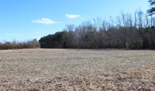 Photo of UNDER CONTRACT!  67 Acres of Recreational and Farm Land For Sale in Sussex County VA!