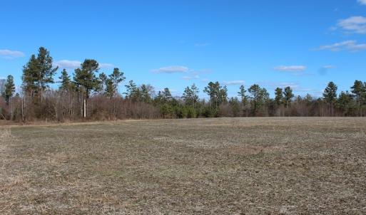 Photo of UNDER CONTRACT!  67 Acres of Recreational and Farm Land For Sale in Sussex County VA!