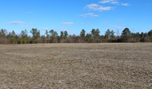 Photo of UNDER CONTRACT!  67 Acres of Recreational and Farm Land For Sale in Sussex County VA!