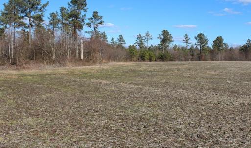 Photo of UNDER CONTRACT!  67 Acres of Recreational and Farm Land For Sale in Sussex County VA!