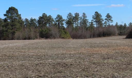 Photo of UNDER CONTRACT!  67 Acres of Recreational and Farm Land For Sale in Sussex County VA!