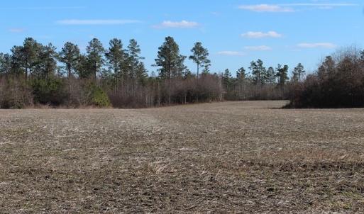 Photo of UNDER CONTRACT!  67 Acres of Recreational and Farm Land For Sale in Sussex County VA!