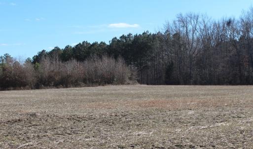 Photo of UNDER CONTRACT!  67 Acres of Recreational and Farm Land For Sale in Sussex County VA!