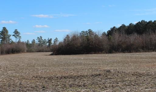 Photo of UNDER CONTRACT!  67 Acres of Recreational and Farm Land For Sale in Sussex County VA!