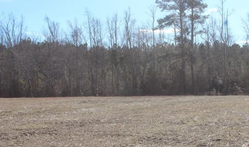 Photo of UNDER CONTRACT!  67 Acres of Recreational and Farm Land For Sale in Sussex County VA!