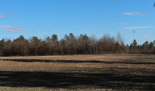 Photo of UNDER CONTRACT!  67 Acres of Recreational and Farm Land For Sale in Sussex County VA!