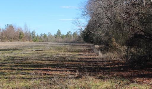 Photo of UNDER CONTRACT!  67 Acres of Recreational and Farm Land For Sale in Sussex County VA!