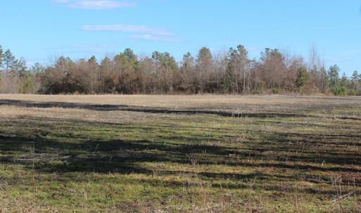 Photo of UNDER CONTRACT!  67 Acres of Recreational and Farm Land For Sale in Sussex County VA!