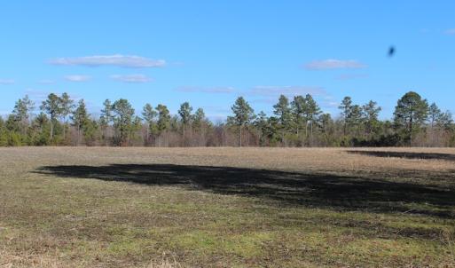Photo of UNDER CONTRACT!  67 Acres of Recreational and Farm Land For Sale in Sussex County VA!