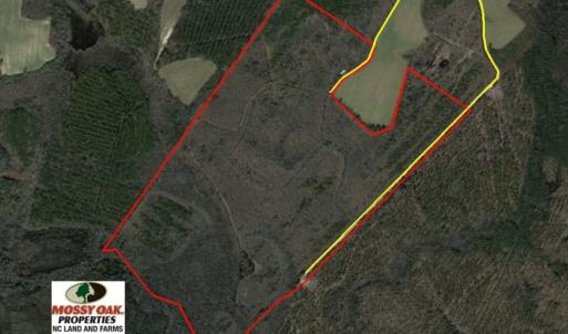 Photo of UNDER CONTRACT!  167 Acres of Hunting Land For Sale in Halifax County NC!