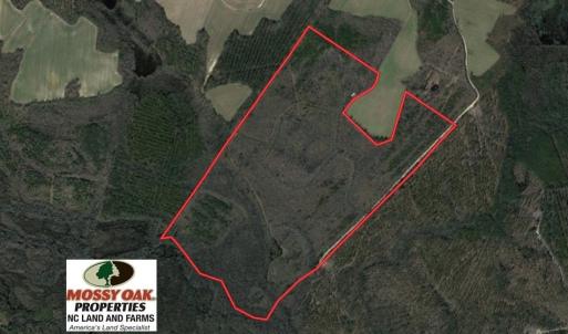 Photo of UNDER CONTRACT!  167 Acres of Hunting Land For Sale in Halifax County NC!