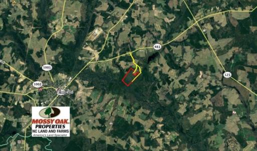 Photo of UNDER CONTRACT!  167 Acres of Hunting Land For Sale in Halifax County NC!