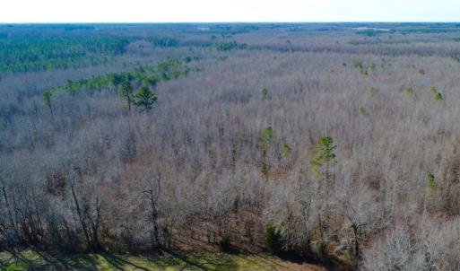 Photo of UNDER CONTRACT!  167 Acres of Hunting Land For Sale in Halifax County NC!