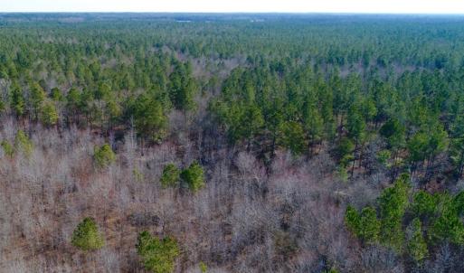 Photo of UNDER CONTRACT!  167 Acres of Hunting Land For Sale in Halifax County NC!