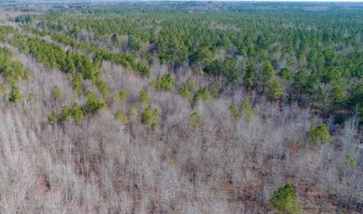 Photo of UNDER CONTRACT!  167 Acres of Hunting Land For Sale in Halifax County NC!