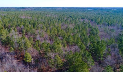 Photo of UNDER CONTRACT!  167 Acres of Hunting Land For Sale in Halifax County NC!