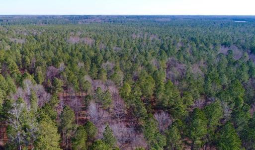 Photo of UNDER CONTRACT!  167 Acres of Hunting Land For Sale in Halifax County NC!