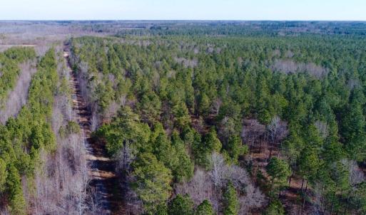 Photo of UNDER CONTRACT!  167 Acres of Hunting Land For Sale in Halifax County NC!