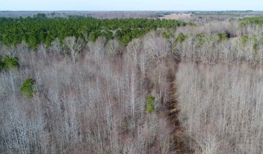 Photo of UNDER CONTRACT!  167 Acres of Hunting Land For Sale in Halifax County NC!