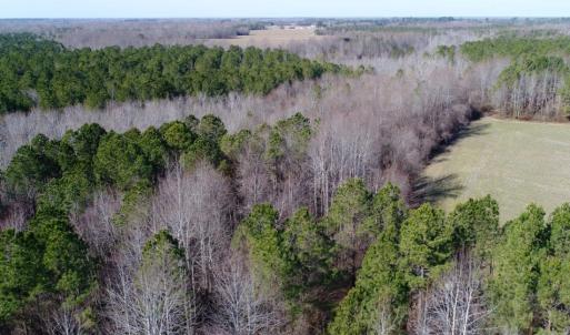Photo of UNDER CONTRACT!  167 Acres of Hunting Land For Sale in Halifax County NC!