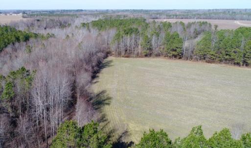 Photo of UNDER CONTRACT!  167 Acres of Hunting Land For Sale in Halifax County NC!