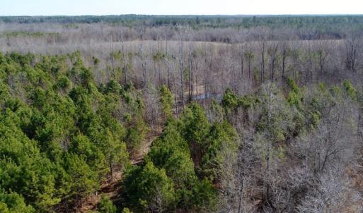 Photo of UNDER CONTRACT!  167 Acres of Hunting Land For Sale in Halifax County NC!