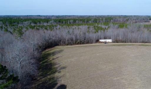 Photo of UNDER CONTRACT!  167 Acres of Hunting Land For Sale in Halifax County NC!