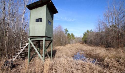 Photo of UNDER CONTRACT!  167 Acres of Hunting Land For Sale in Halifax County NC!