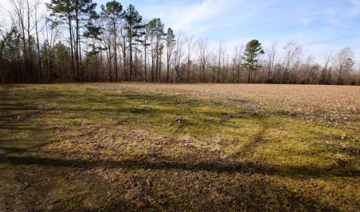 Photo of UNDER CONTRACT!  167 Acres of Hunting Land For Sale in Halifax County NC!