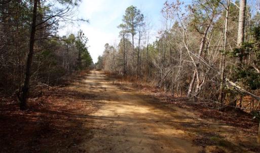 Photo of UNDER CONTRACT!  167 Acres of Hunting Land For Sale in Halifax County NC!
