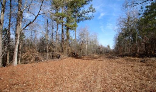 Photo of UNDER CONTRACT!  167 Acres of Hunting Land For Sale in Halifax County NC!