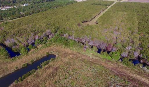 Photo of UNDER CONTRACT!  0.5 Acre Residential Lot for Sale in Hyde County NC!