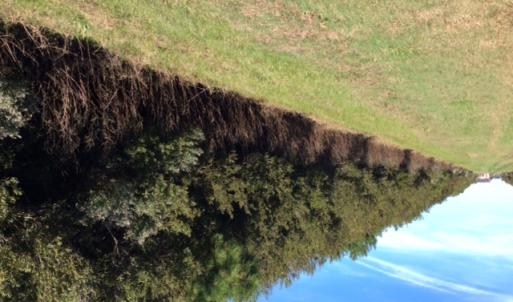 Photo of UNDER CONTRACT!  0.5 Acre Residential Lot for Sale in Hyde County NC!