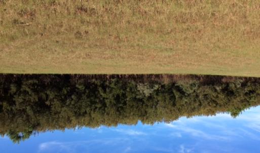 Photo of UNDER CONTRACT!  0.5 Acre Residential Lot for Sale in Hyde County NC!