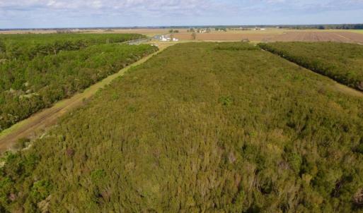 Photo of UNDER CONTRACT!  0.5 Acre Residential Lot for Sale in Hyde County NC!